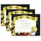 Hayes Certificate of Completion, 8.5in x 11in, PK90, Color: Multi VA524 - alternate 1